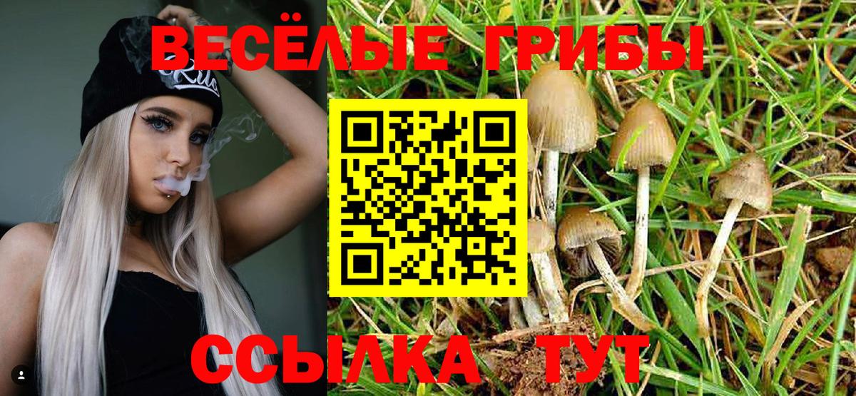 Баксан  купить наркотик  Вход с VPN  Галлюциногенные грибы MAGIC MUSHROOMS 
