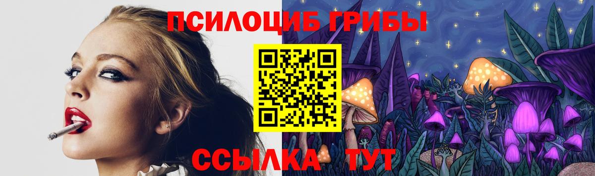 Псилоцибиновые грибы MAGIC MUSHROOMS Баксан