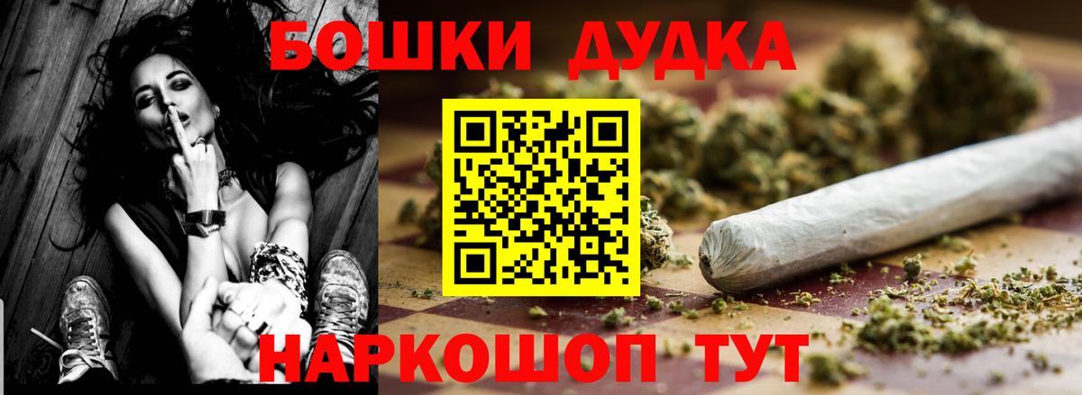 Конопля конопля  Шишки марихуана сатива  Канабис план  Баксан  Вход с VPN 